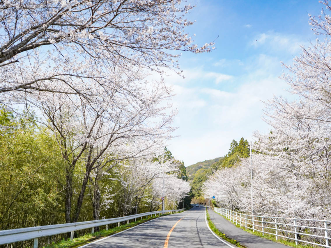 �Ă�������Ȃ��I�t�ďH�~����Ƃ�ǂ�̕��i�����Ȃ������҂����Ă��܂��I