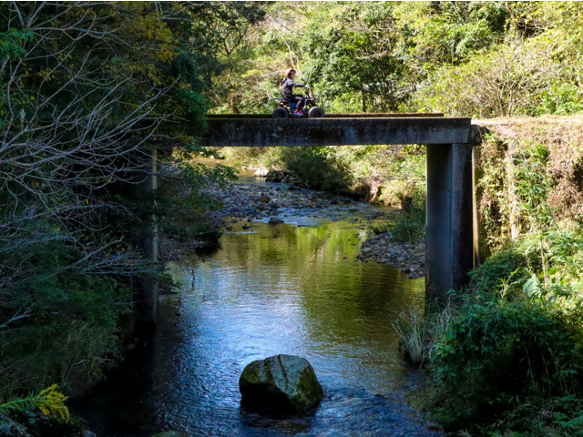 カメラマンでもあるガイドだからわかる、思い出に残る写真が撮れるスポットを教えます。オーナーが撮影した写真はプレゼント!