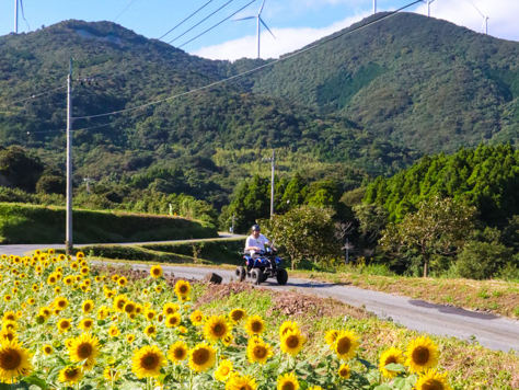 ĂȂItďH~Ƃǂ̕iȂ҂Ă܂I