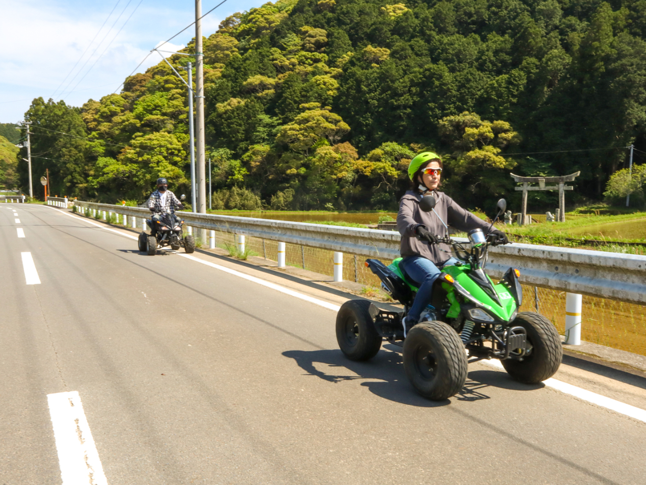 r[ƐiցIȂڂɂ镗i͈ꐶSɎc܂