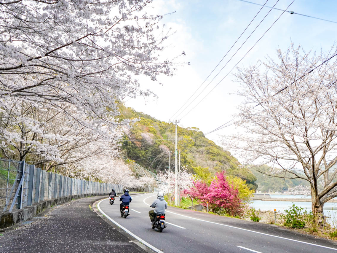 ĂȂItďH~Ƃǂ̕iȂ҂Ă܂I