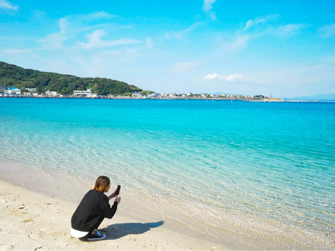 �����ł������킦�Ȃ��̌����B���Ј�x�V�тɂ��炵�Ă��������I