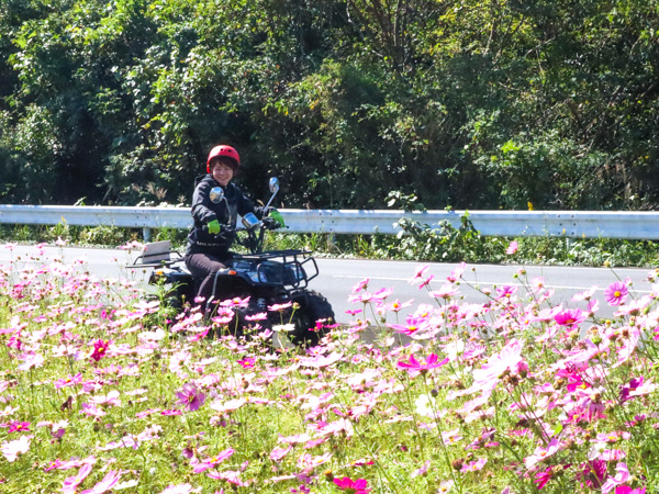 夏だけじゃない!春夏秋冬いろとりどりの風景があなたをお待ちしています!
