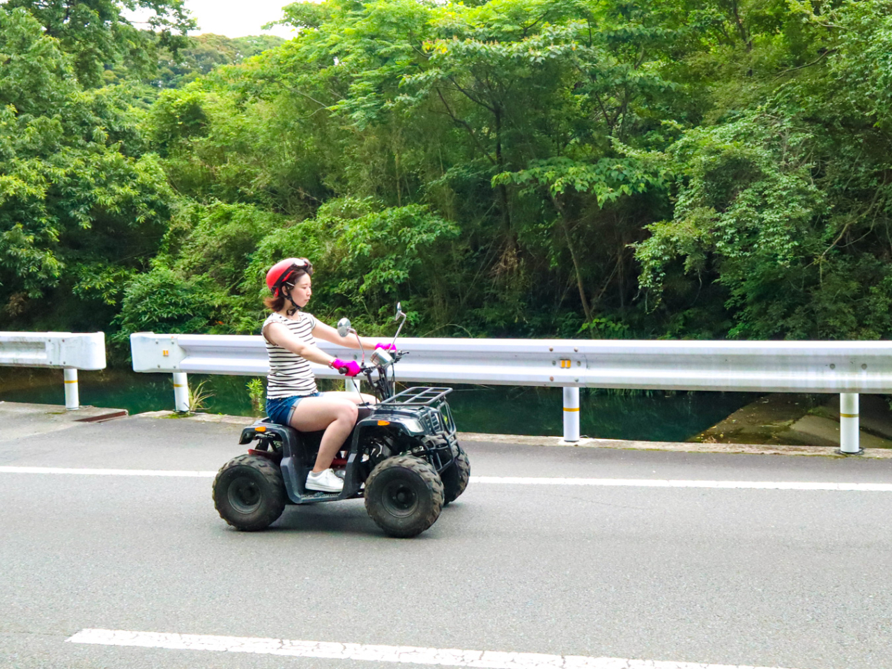 r[ƐiցIȂڂɂ镗i͈ꐶSɎc܂