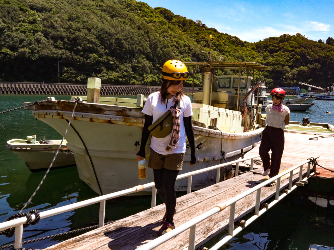 �����ł������킦�Ȃ��̌����B���Ј�x�V�тɂ��炵�Ă��������I