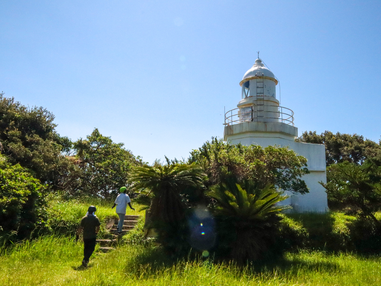 t̃qAOŁAq̍D݂zăTvCY܂Bq񂲂ƂɃR[Xς~Xe[cA[I 