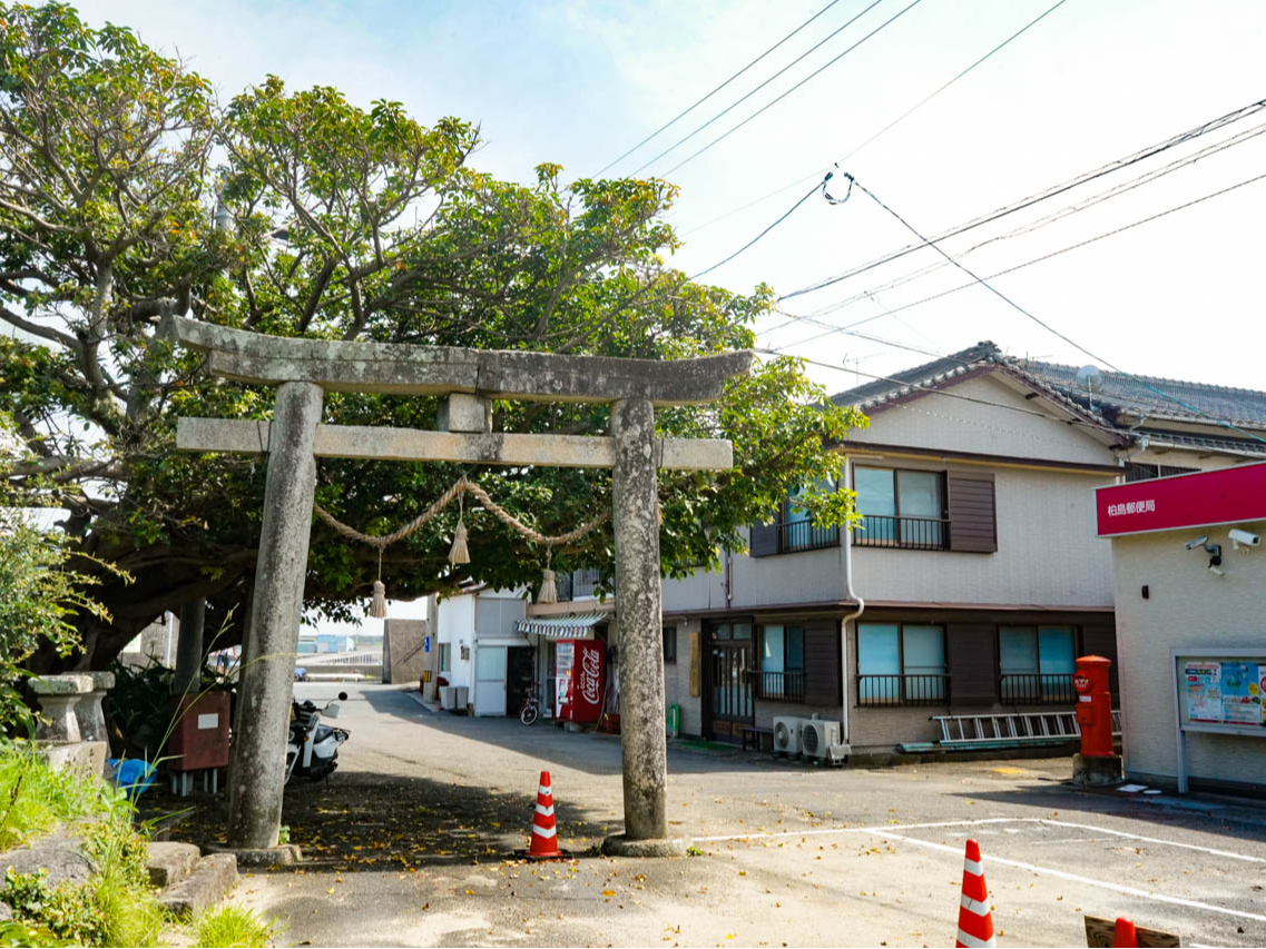 j锐̒͂ȏ鉺BgȂ̂A̓Ȃł͂̕炵̕i܂B