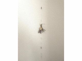 天然石のお花のサンキャッチャー♪