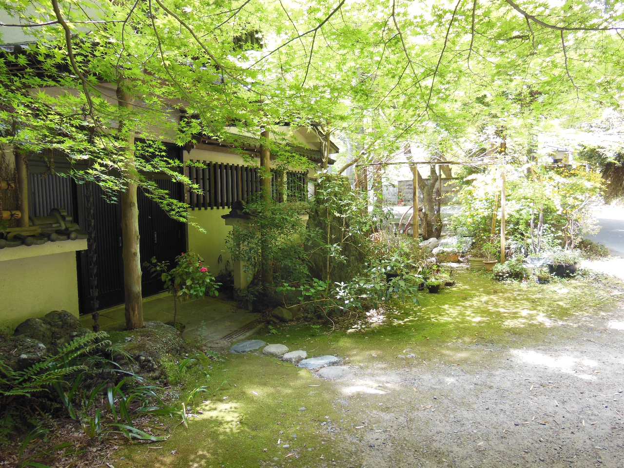 �u�q�y���v������B�΂Ɉ͂܂ꂽ�R���̂������܂��B