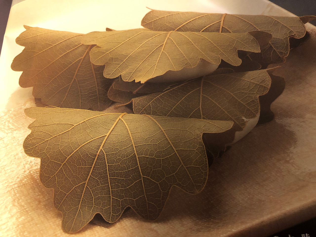 �G�߂̋��َq�ɂ͖����񂹕t���Ȃ��͂�����B