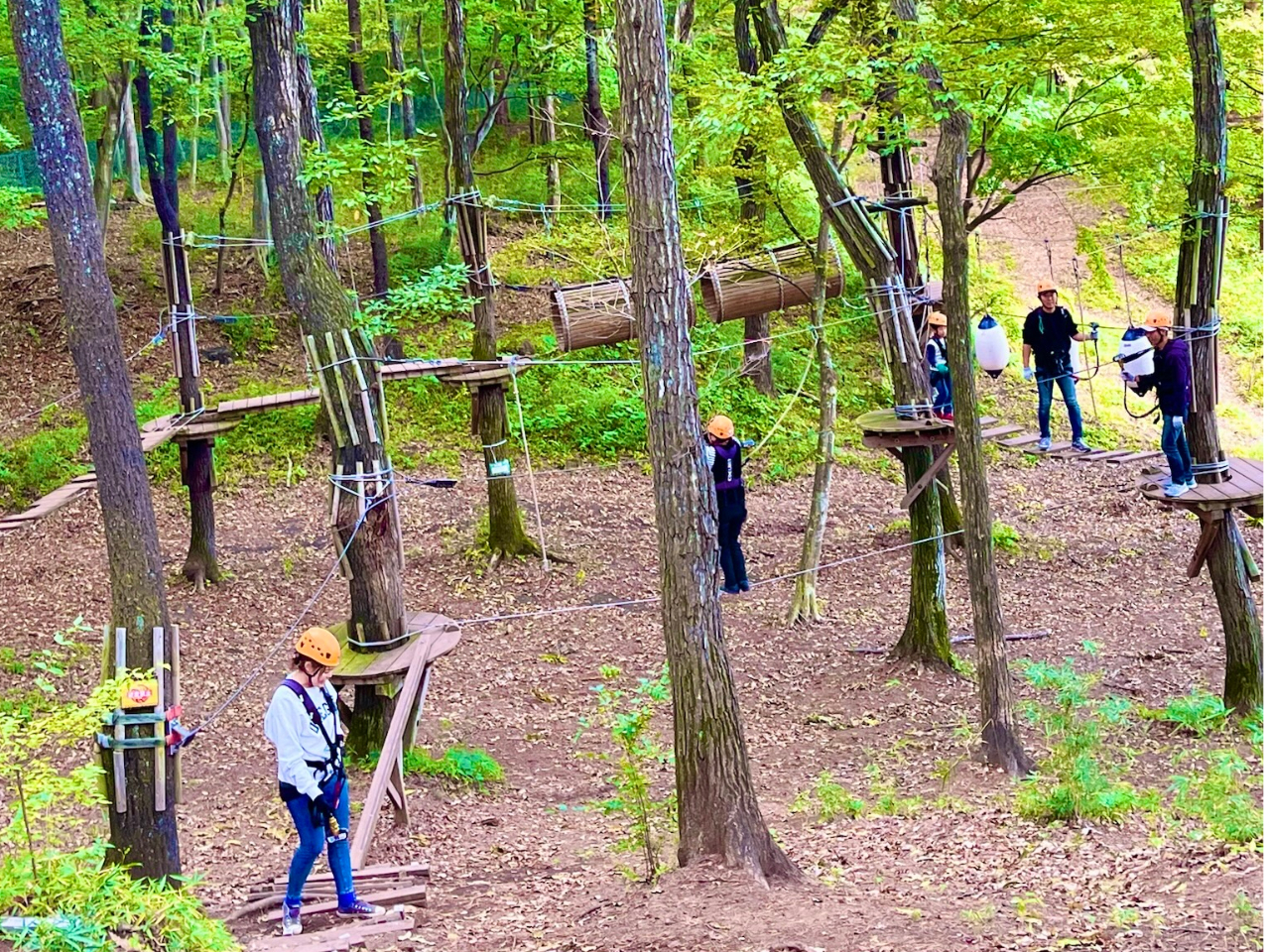 ジップラインがあるコースとないコースをご用意!自由に選んで遊べます!!