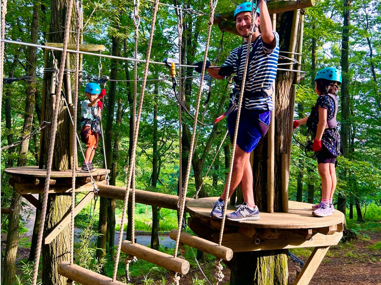 Aŵ̌ƁAی҂̑̌̕KvIeqŊy߂II