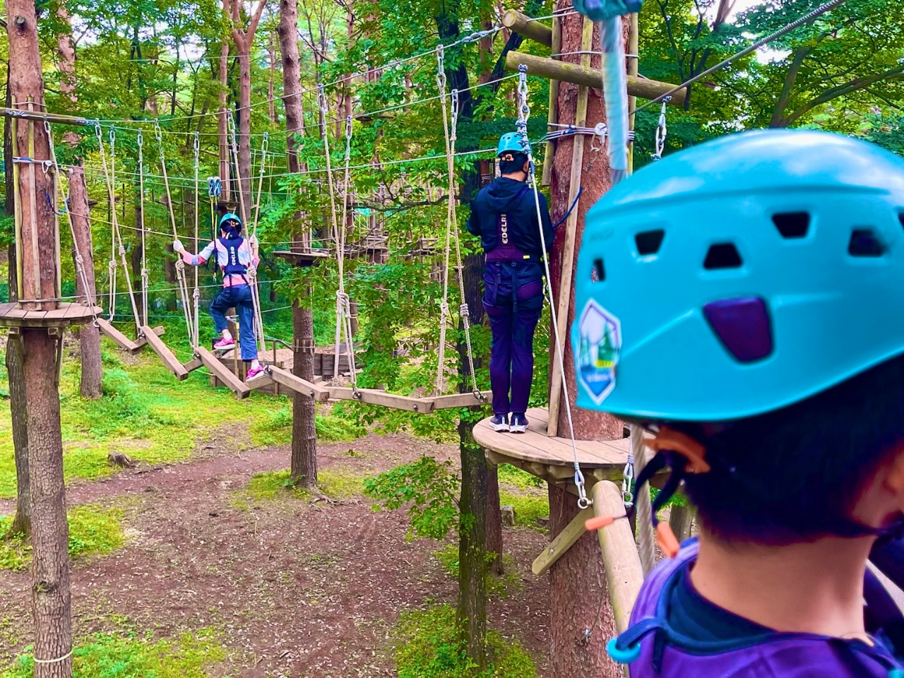 gуV_[Xgbv΁AォBeOKII