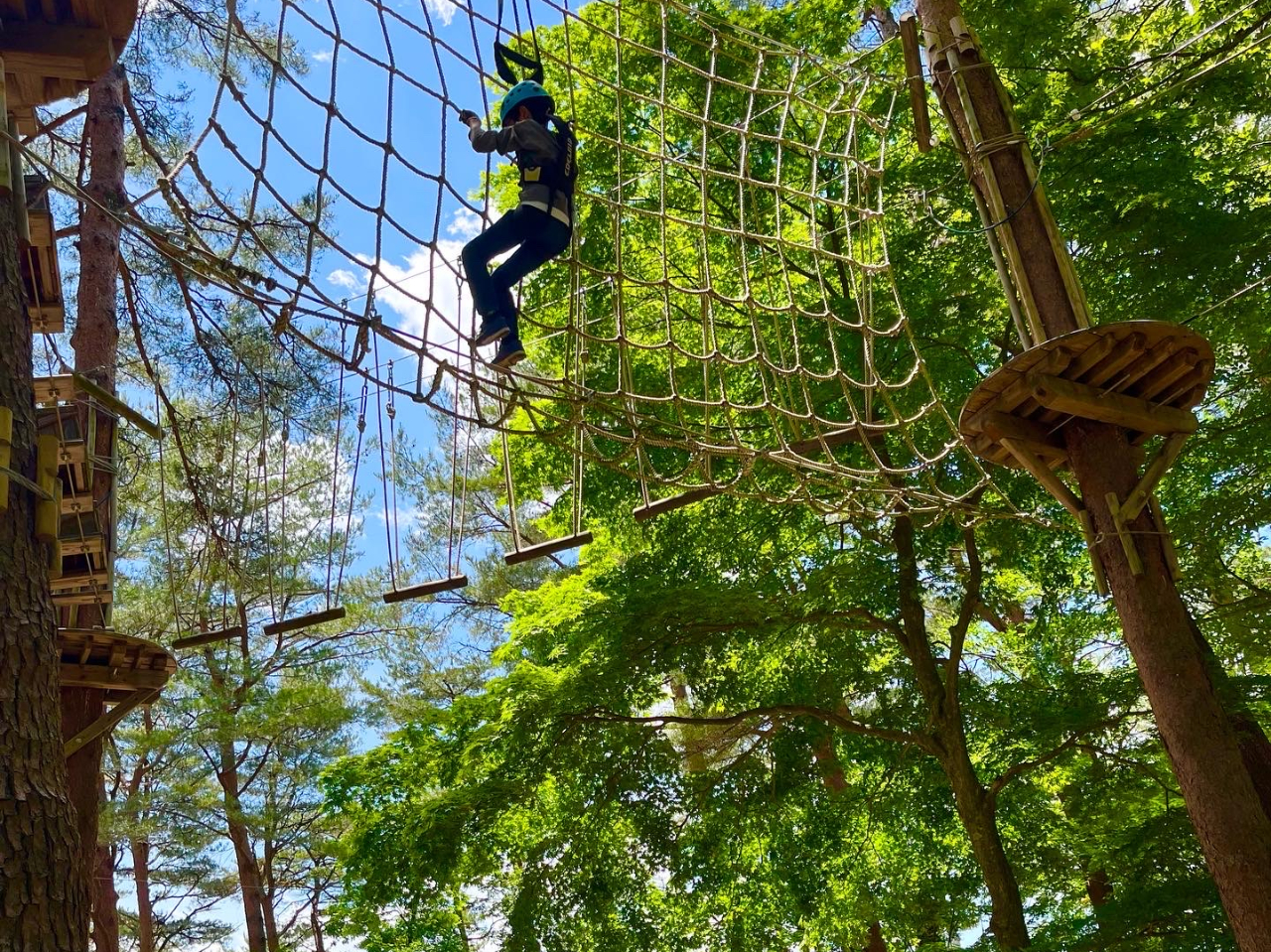 T̂悤ɓⒹƂȂڐŐXɐGĂ݂悤I