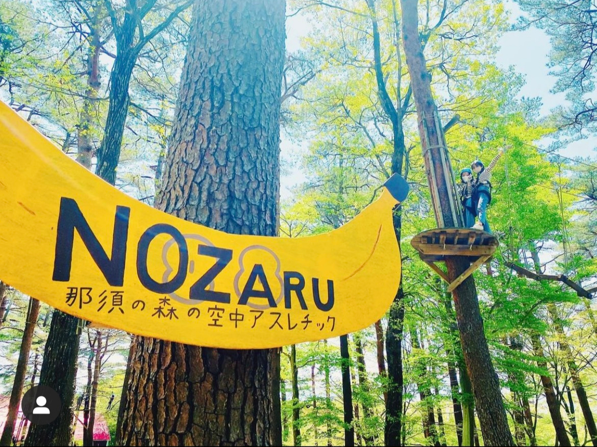 NOZARU�ɂ���Ŕ͑S��DIY�ō쐻���Ă��܂��I�I