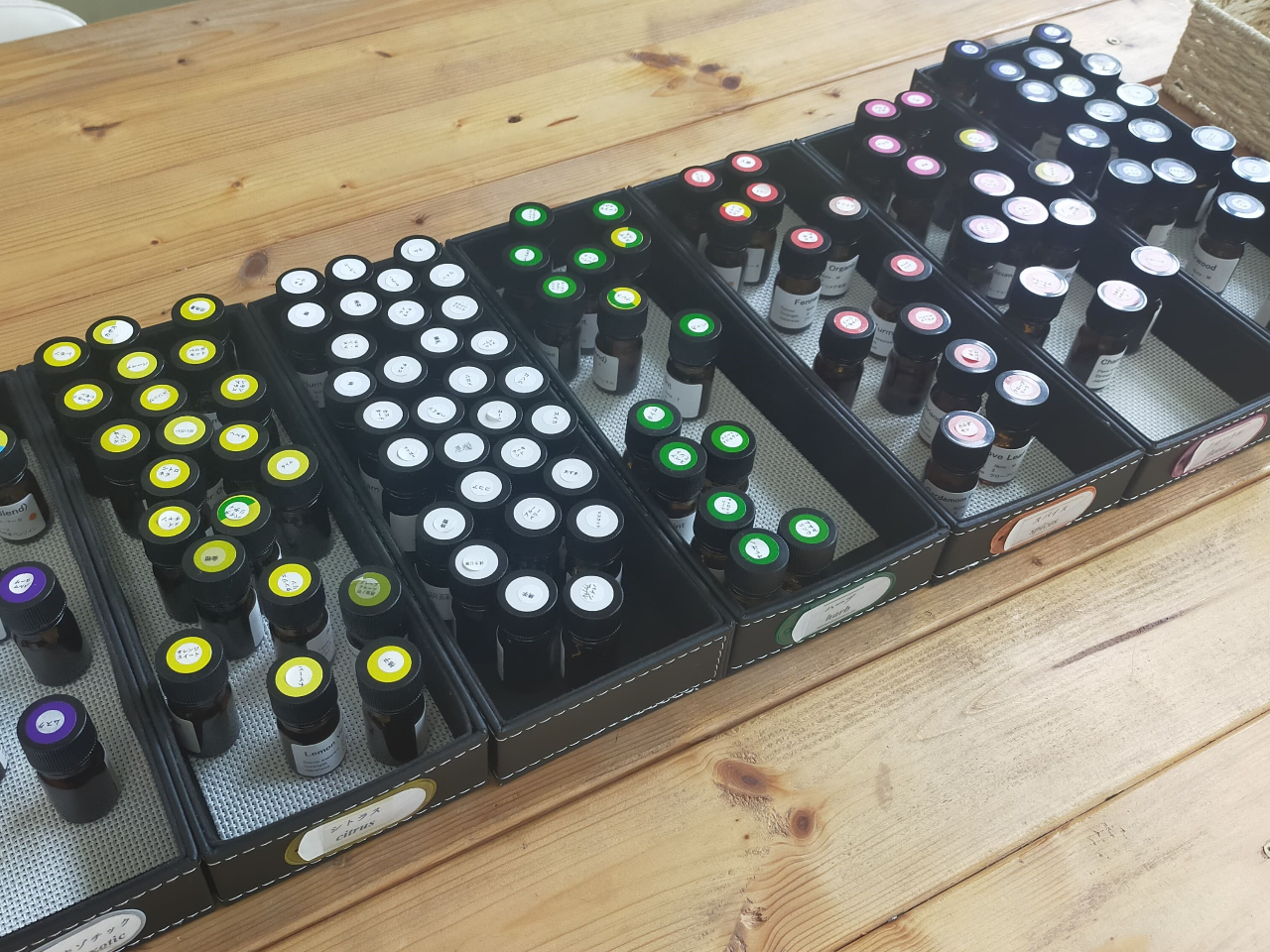 낢ȍ̒Dȍ肪Iׂ܂BC`SXCJA`RȂǂ