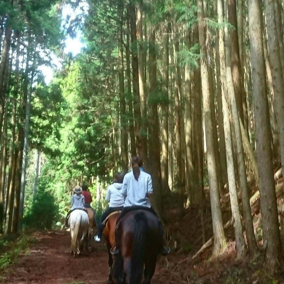 oiłƋCu₩ɂȂĂ܂B