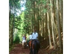 登坂を進んでいくと空気が爽やかになっていきます。
