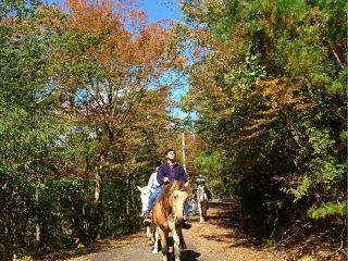 レッスンのあとみんなで楽しくトレッキング