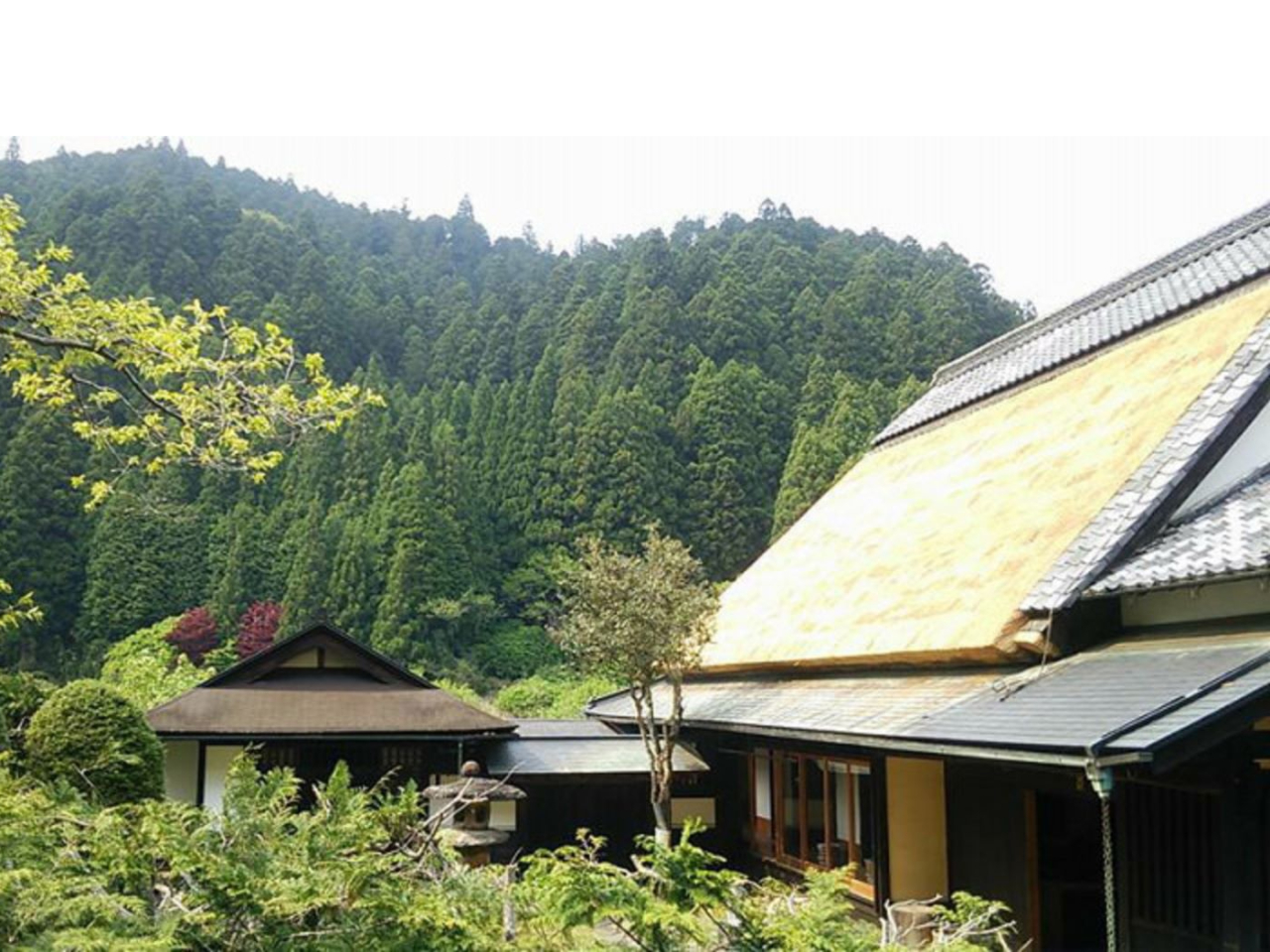【囲炉裏でお食事と苔玉・竹の器作り体験】～500坪の文化財屋敷一棟貸切空間で歴史...