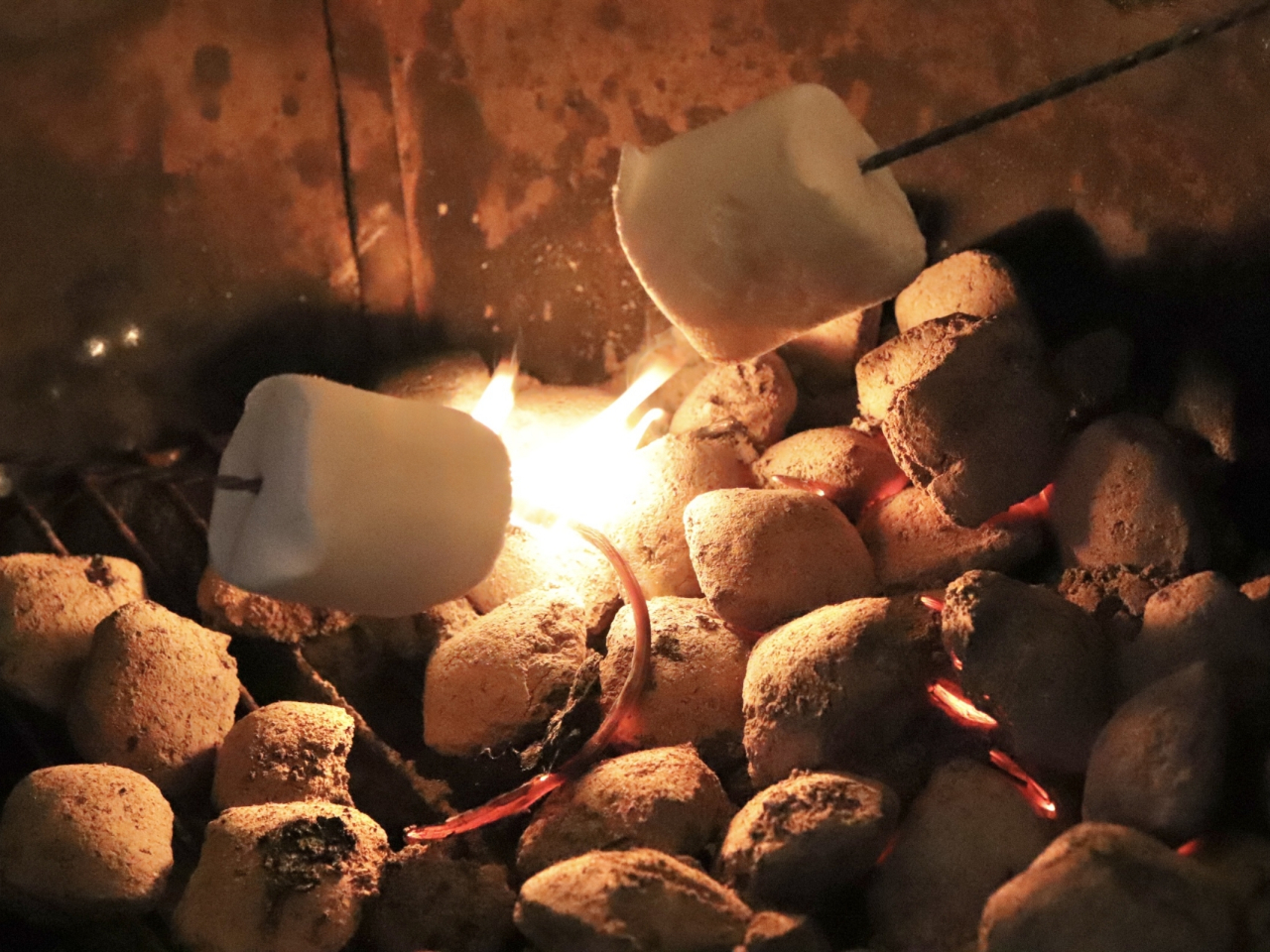 �͘F���Őd�����׎��R�̉΂��݂͂Ȃ���@�@�@�@�@�@�@�@�@�@�@�@�@�@�@�@�@�@�@ �@�@�@�@�ӂ�Ƃ�̏Ă��}�V���}���ŊÂ��ЂƂƂ��c