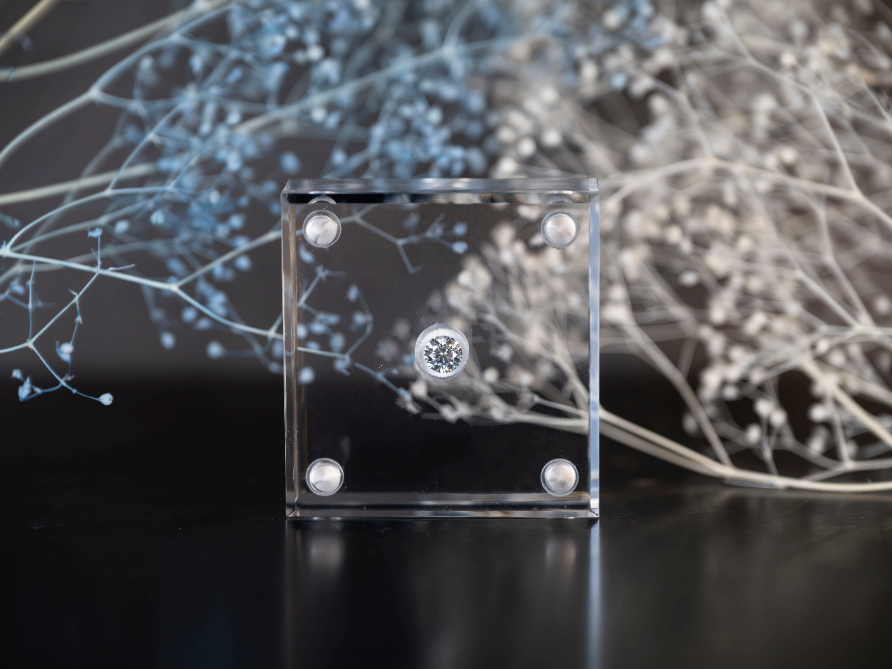 �y�z���o������������z ���쒆�̃G�s�\�[�h��y�����������Ԃ��A�w�ւ̑�؂Ȉꕔ�B�������ꂽ�p�b�P�[�W���A���肵���w�ւ�����w�h���}�`�b�N�ɉ��o���܂��B