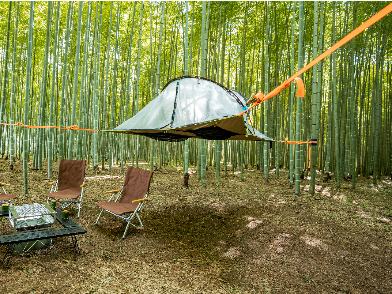 ̒|тɕnbNLv́Aًԑ̌B