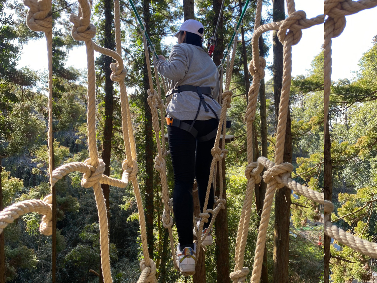 アドベンチャーコース サイト1