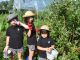 ブルーベリー食べつつ、ハイちーず