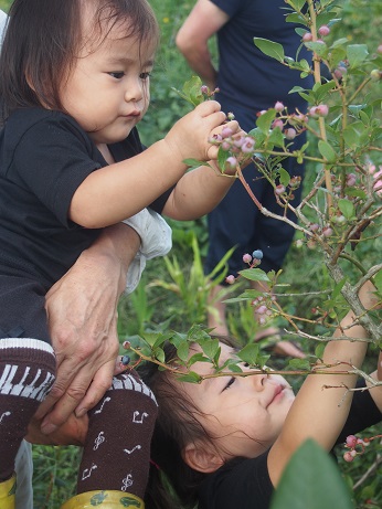 �ܘ_�A�u���[�x���[�̃W���������������ł��B