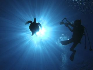 奄美の綺麗な海を楽しんでみませんか?