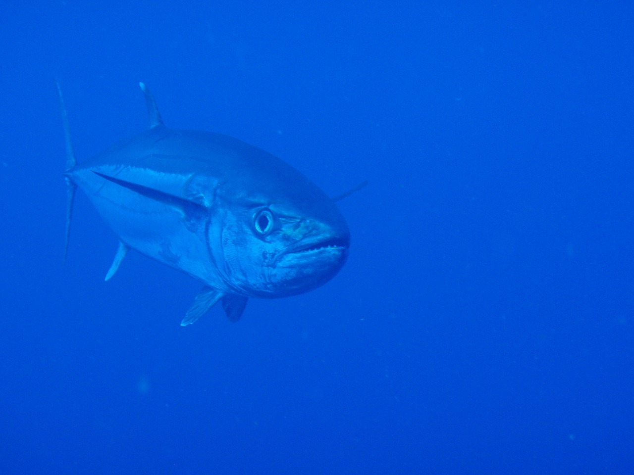 超ラッキーなら!