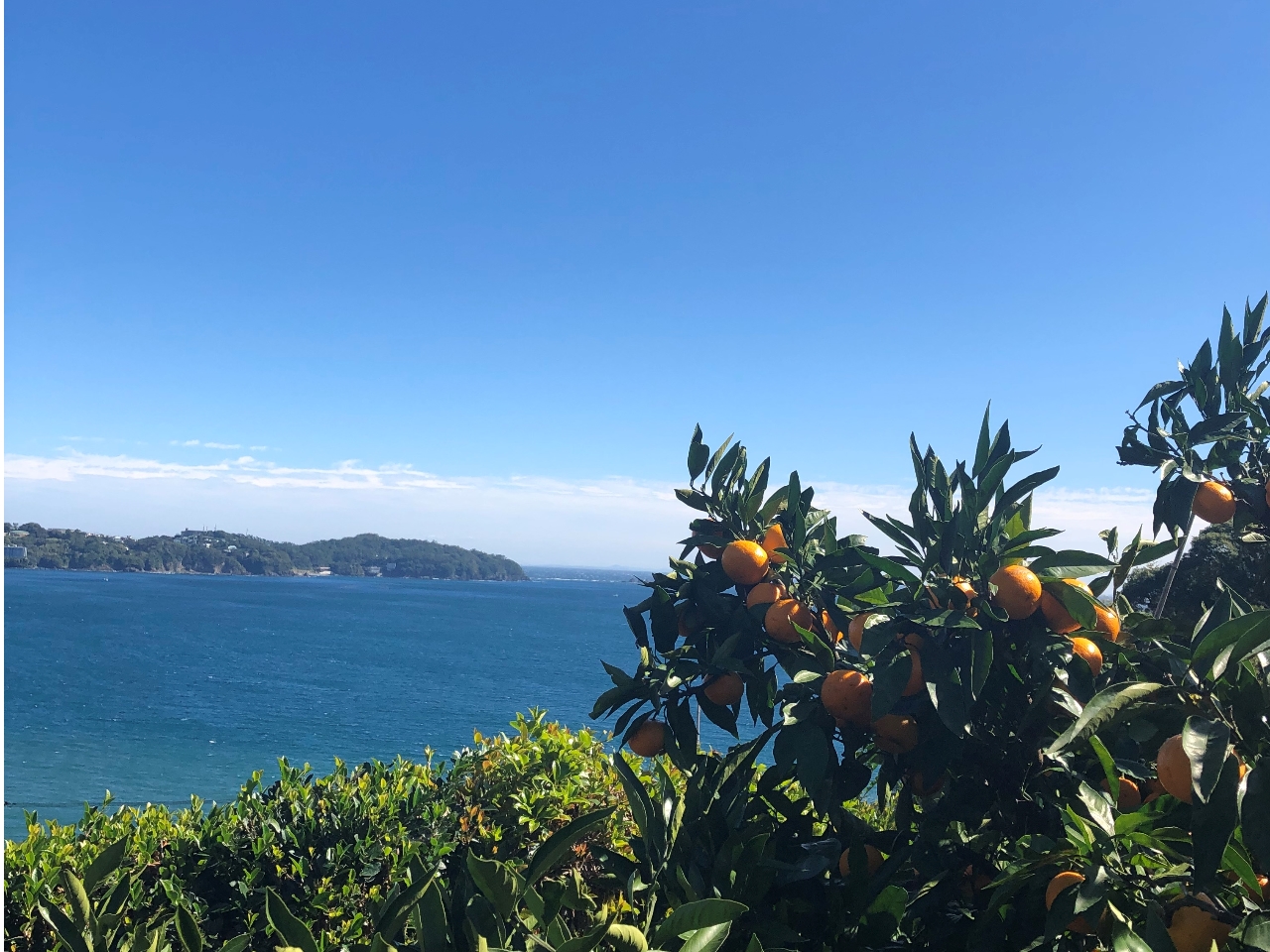 ファミリーで写真撮影も◎