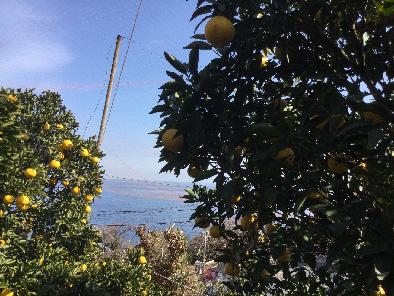 �C�̂������΁�