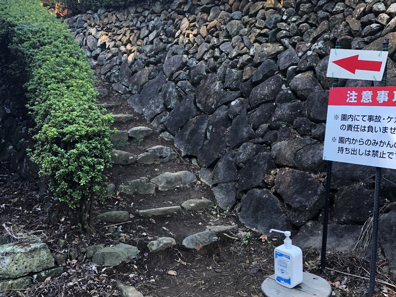 �Βi�̐�ɔ_��������܂���̂ڂ��������ɂ͐�i��....