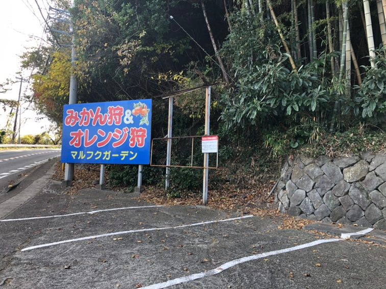 �P���܂ł݂͂�����A2���`�T���̓I�����W��肪���y���݂��������܂���