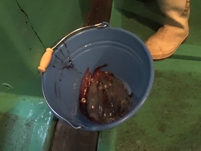 安芸 室戸の釣り 釣り堀 渓流釣り 海釣り 釣り船等 ランキングtop2 じゃらんnet 安芸 室戸の釣り 釣り堀 渓流釣り 海釣り 釣り船等 ランキングtop2 じゃらんnet