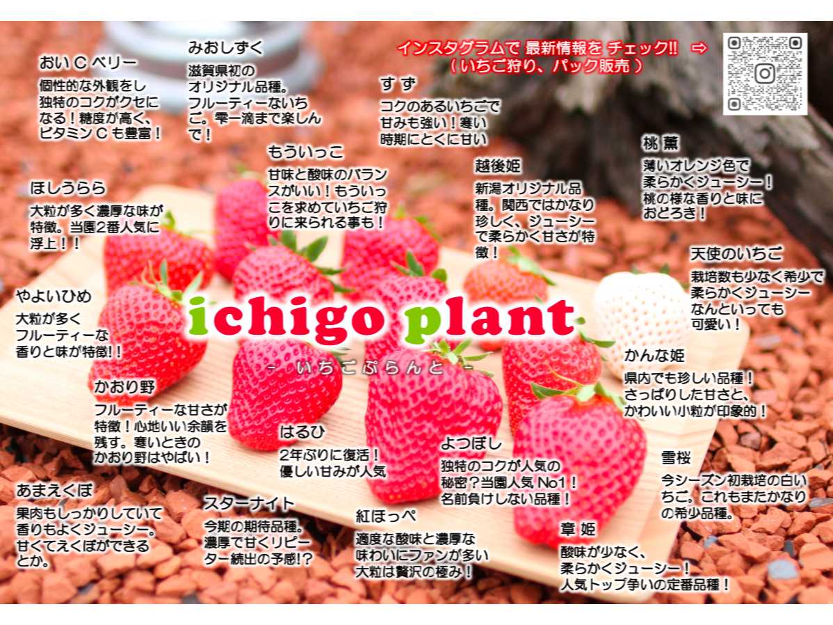 �ő�P�R�i��̂��������ɂƂǂ܂炸�A���ʌ���ŋH���ȂU�i���ǉ��E�H�ו��肪�{300�~��