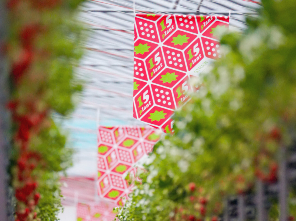 �����Ȃ肢�����I