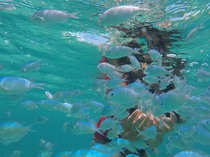 ȋɏo܂͂Ă̕lƃVm[Py݂ɃIXXI