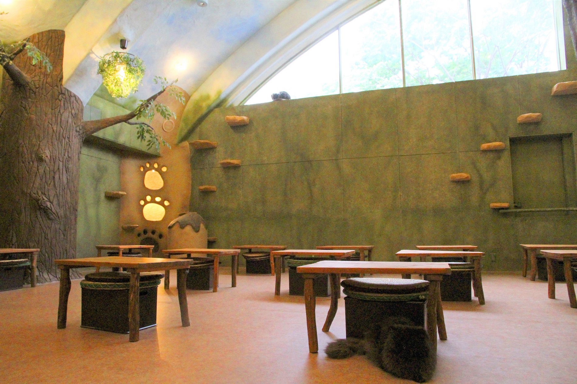 お昼は大きな窓から光がはいります