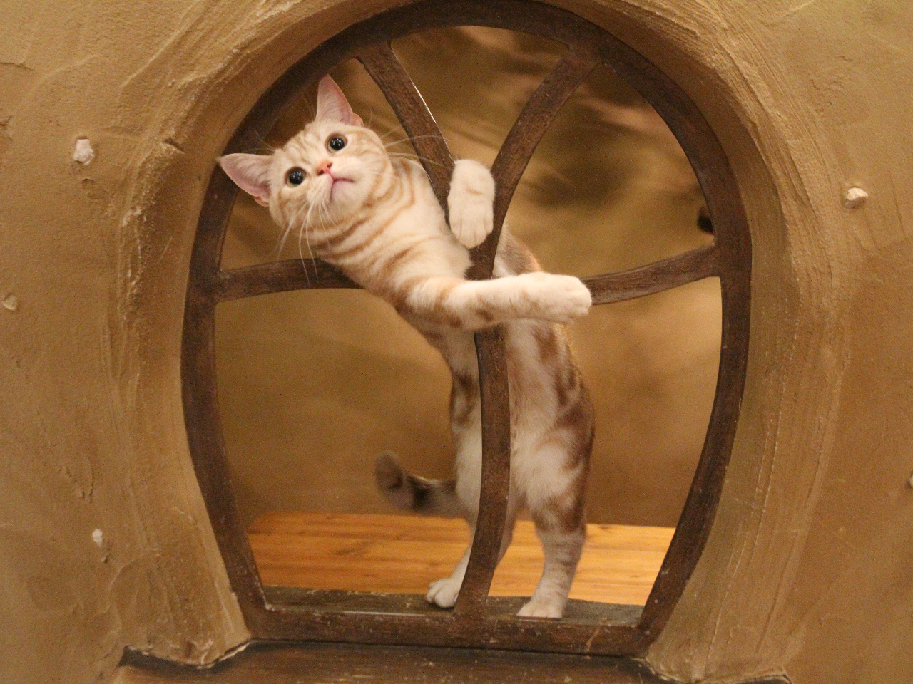 おもちゃも自由にご利用いただけるものがあります