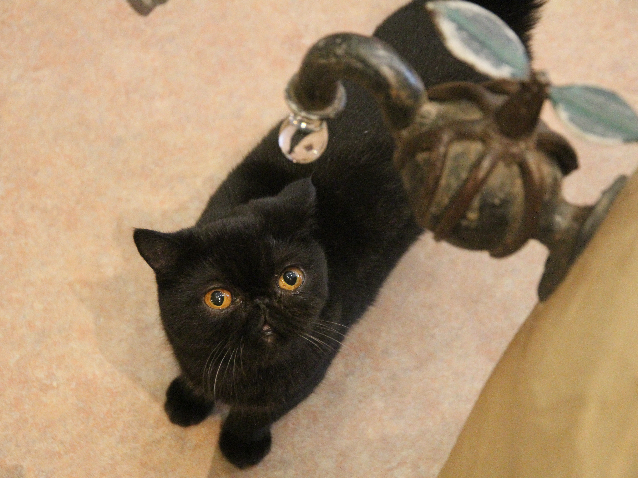 写真を撮りたくなるようなしかけがいっぱいあります