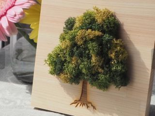 ふわもこスカンディアモスはかわいいです!