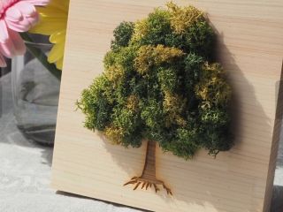 ふわもこスカンディアモスはかわいいです!