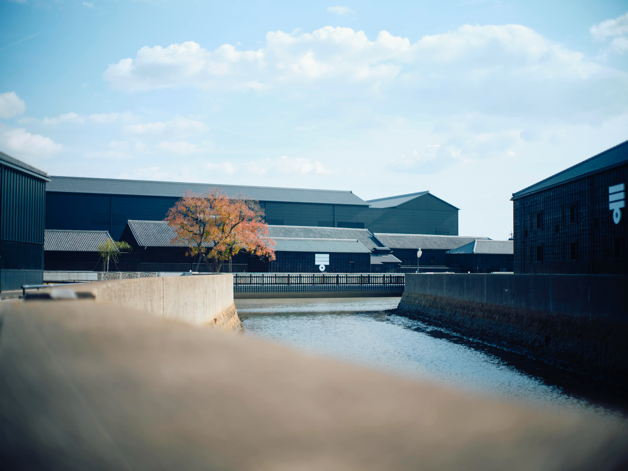 c^͂̌iςy݂ȂU􂵂܂B