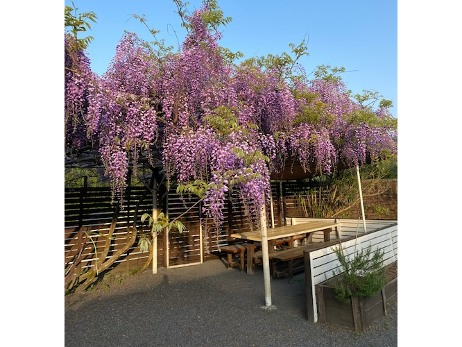 ���N�̕x�m�̓{�����[�������Ղ�