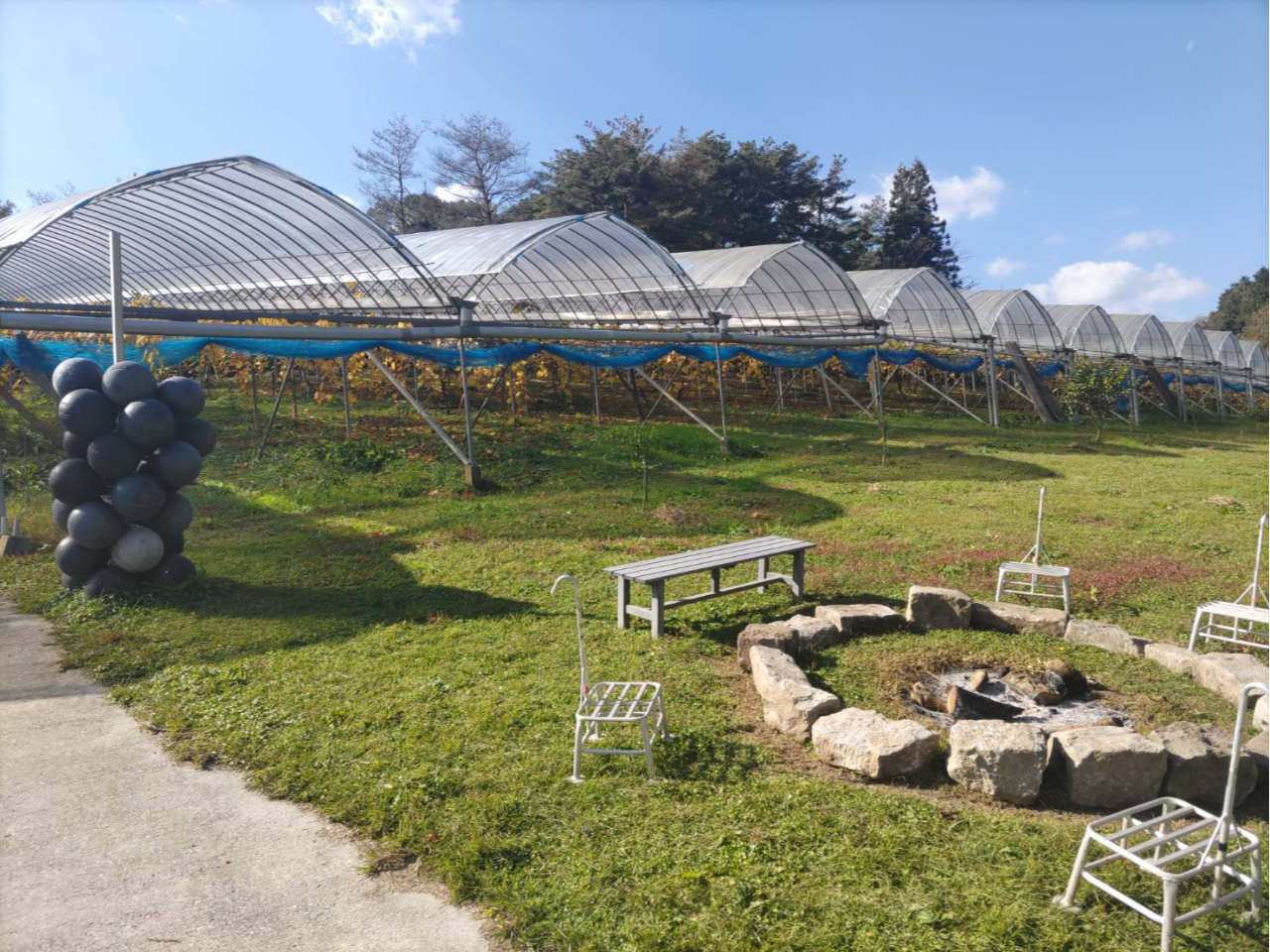 広々としたぶどう園は開放的。自然の声を聞きながらリラックス。