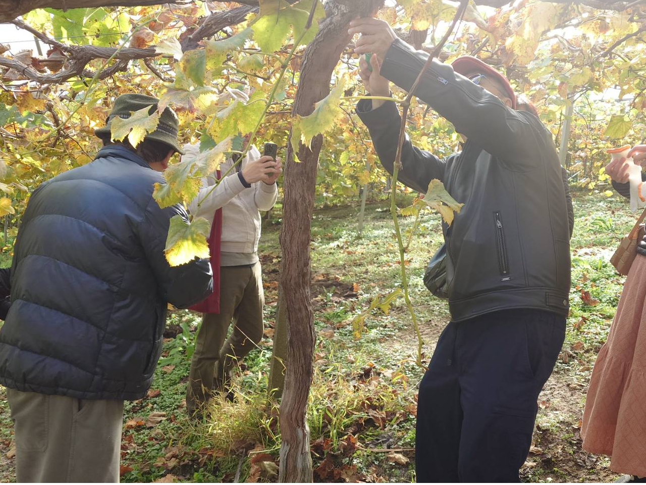 G߂̂ԂǂUł܂BItV[ŶԂǂKI