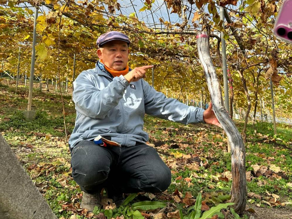 ܂̂ԂǂElCYouTuber{c@́uvɂȂ邨b肾I